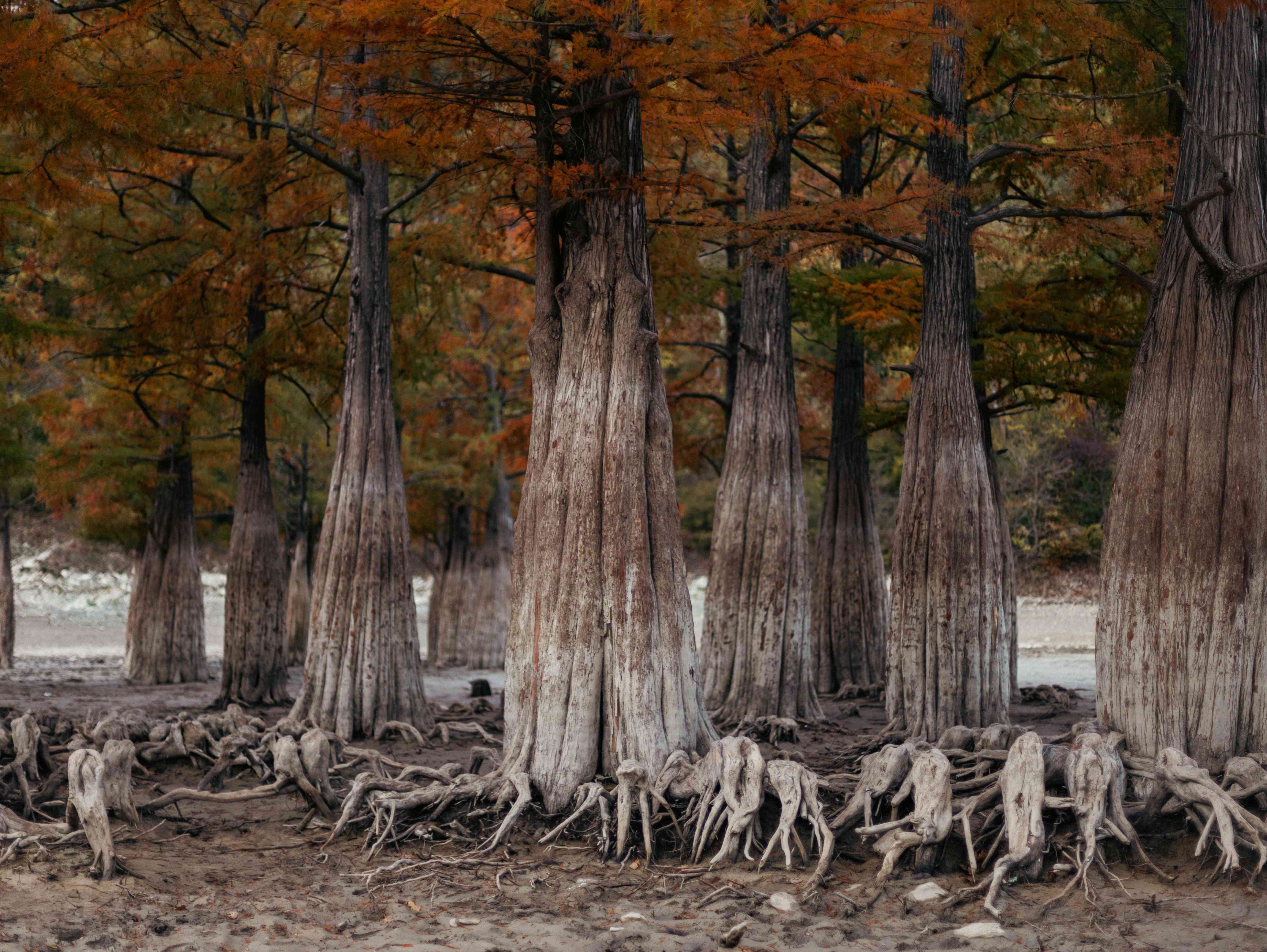 ТОП-5 природных достопримечательностей Анапы
